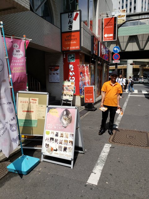 f:id:gengesa:20200625113725j:plain f:id:gengesa:20200625113725j:plain