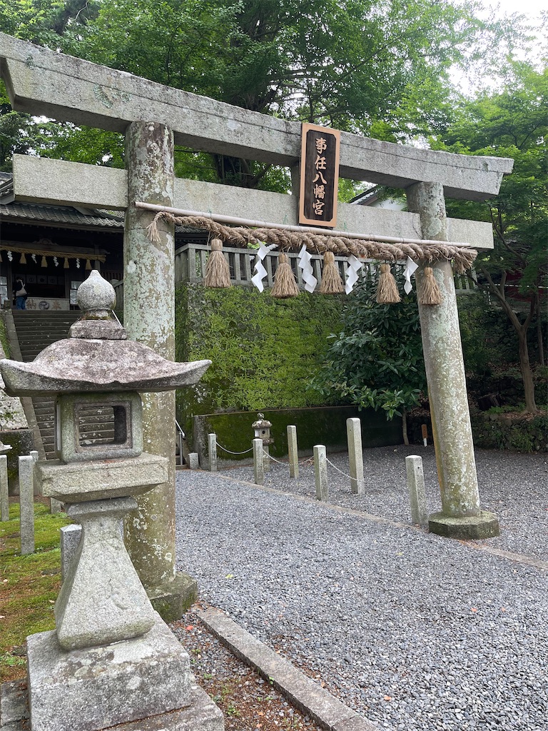 f:id:genjinja:20230622085153j:image