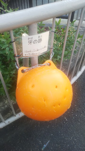 f:id:genkai35sai:20210921220434j:image