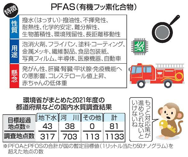 f:id:genkai35sai:20250109142629j:image