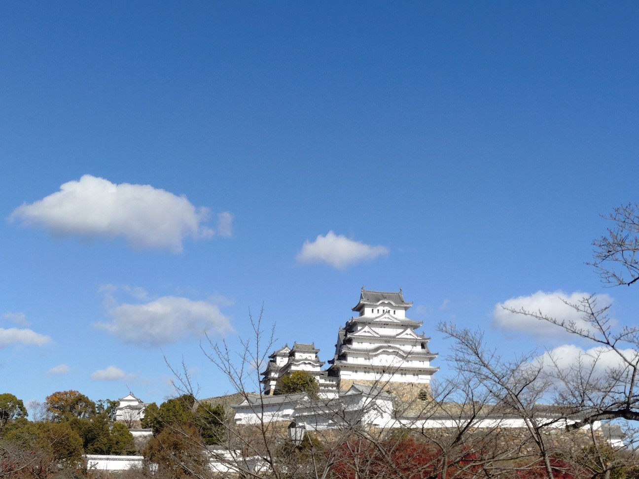 f:id:genkai35sai:20251210091333j:image f:id:genkai35sai:20251210091333j:image