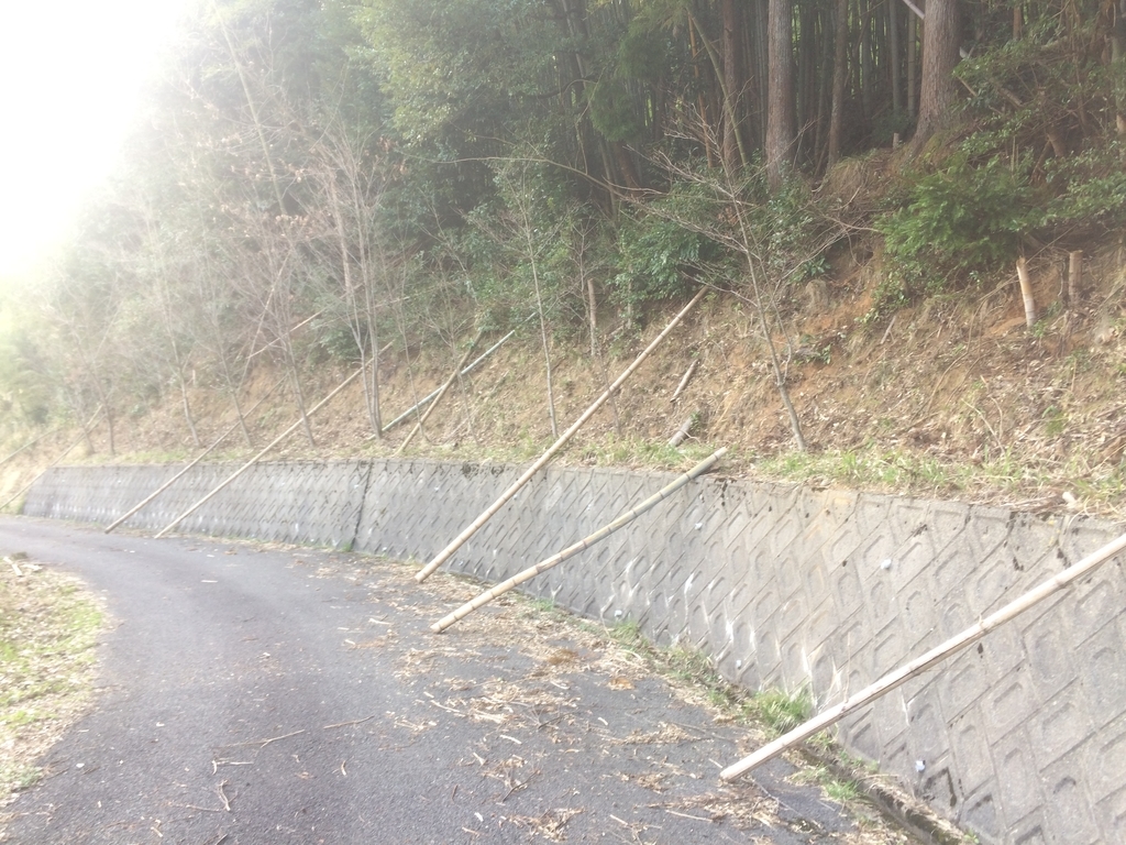 f:id:genkaishuraku:20190301040230j:plain