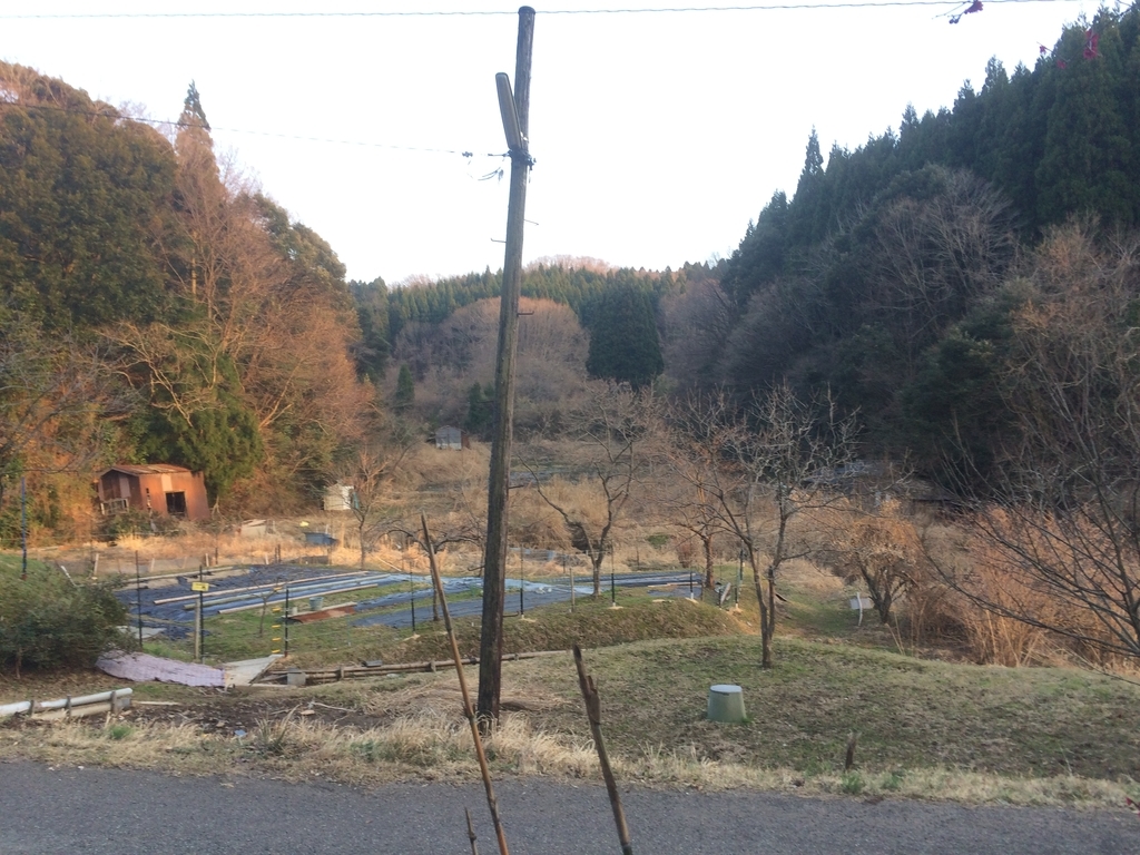 f:id:genkaishuraku:20190301040249j:plain