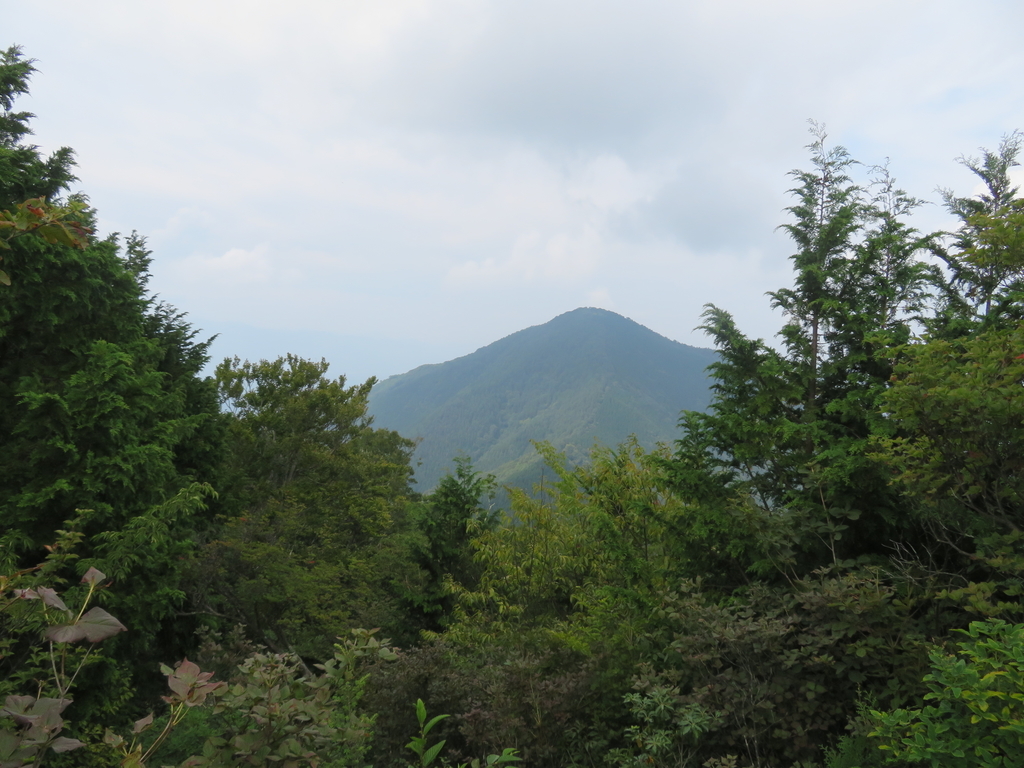 f:id:genkaru:20180831113146j:plain f:id:genkaru:20180831113146j:plain
