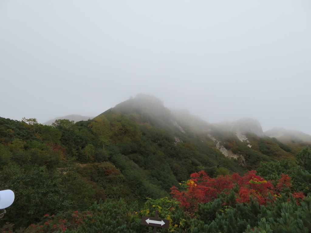 f:id:genkaru:20180921201659j:plain f:id:genkaru:20180921201659j:plain
