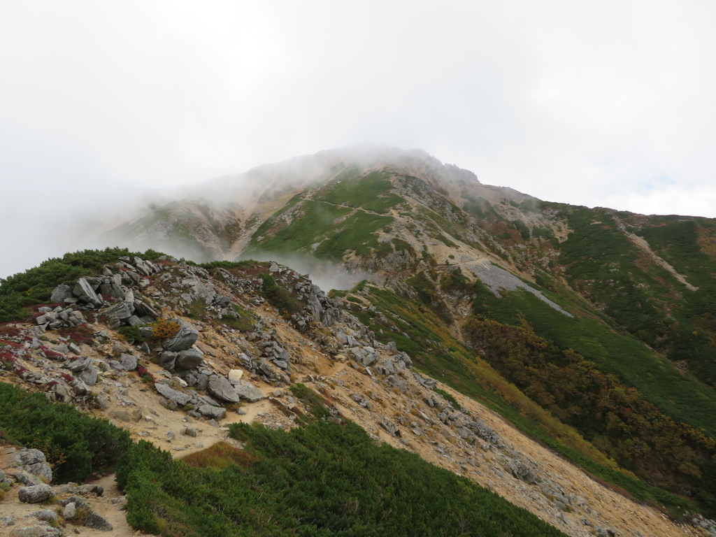 f:id:genkaru:20180921203108j:plain f:id:genkaru:20180921203108j:plain
