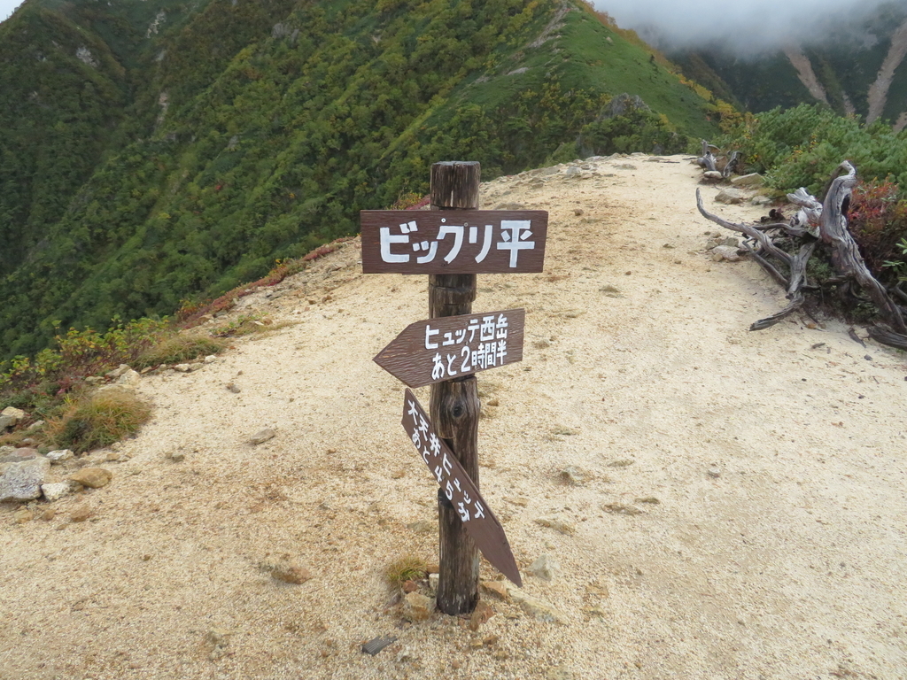 f:id:genkaru:20180922171812j:plain f:id:genkaru:20180922171812j:plain