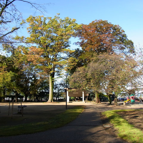 r00475231