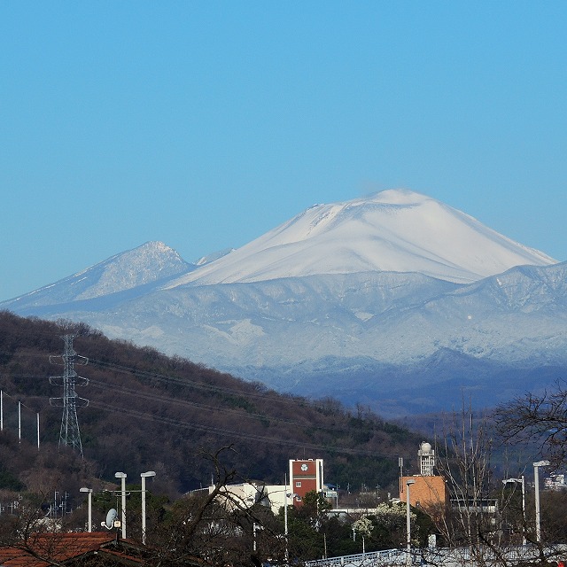f:id:genki-1ban:20200315084738j:plain