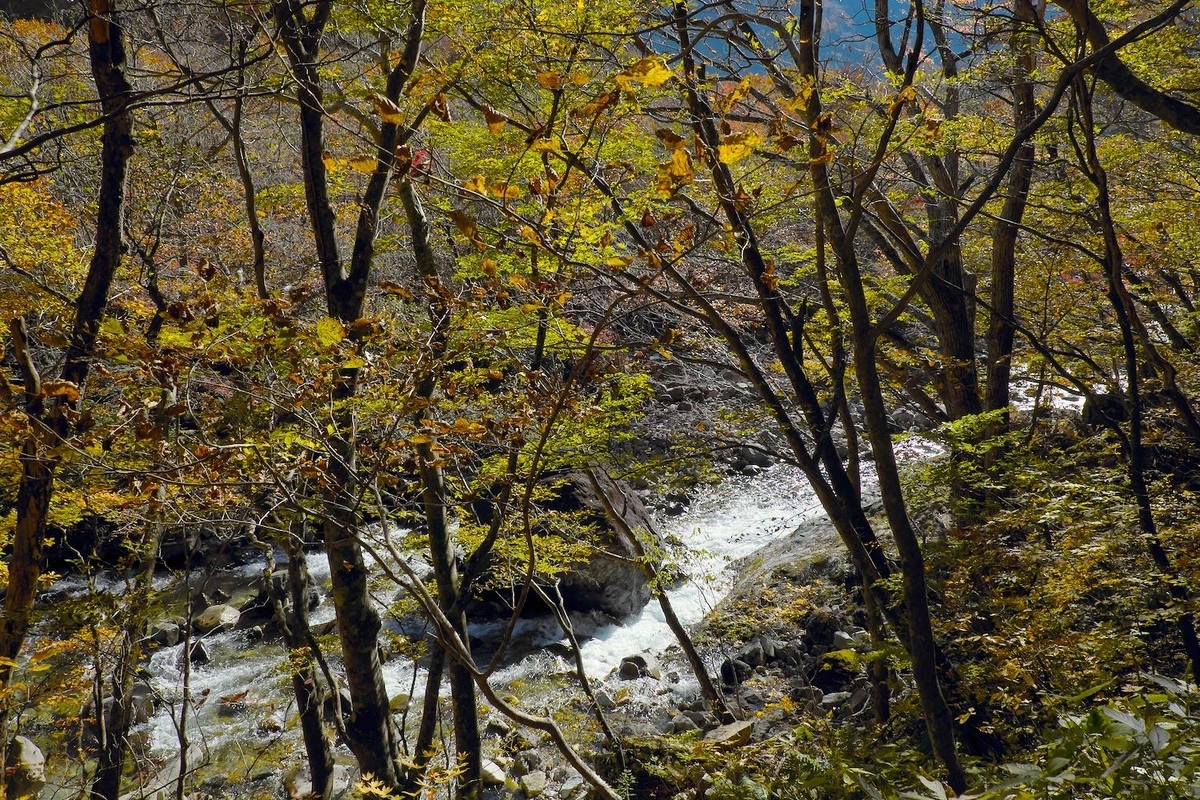 レビュー「フジノン XF18-55mmF2.8-4 R LM OIS」を7年間使用した感想