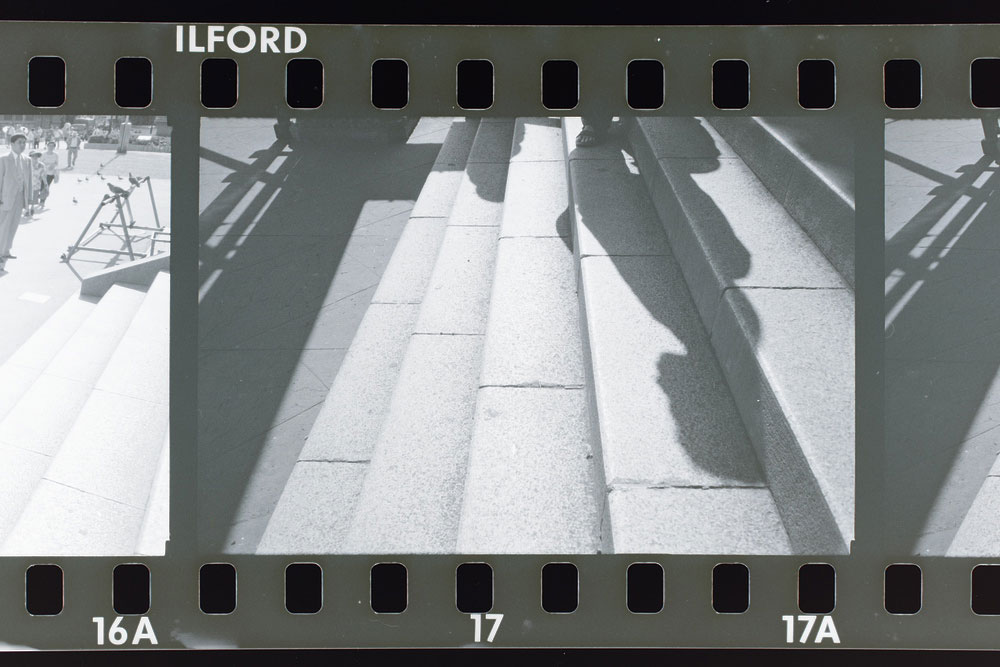 f:id:genki-power:20210703170446j:plain