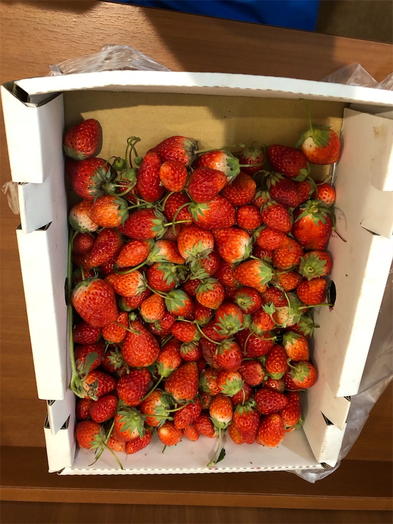 f:id:genki08260430:20190614001955j:image
