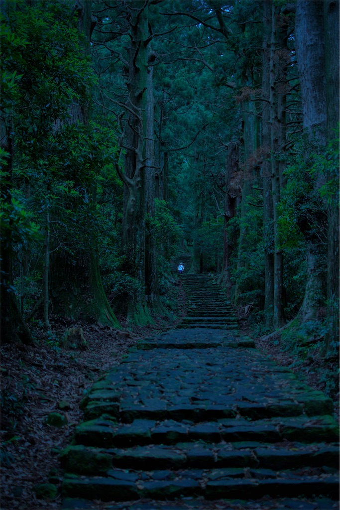 f:id:genki08260430:20190615203929j:image