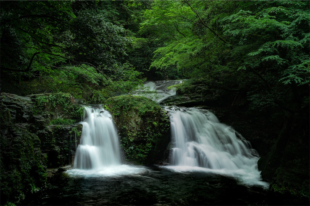 f:id:genki08260430:20190722224048j:image