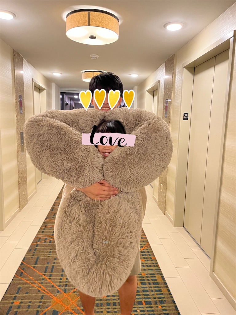 f:id:genkicocochan:20221110110133j:image