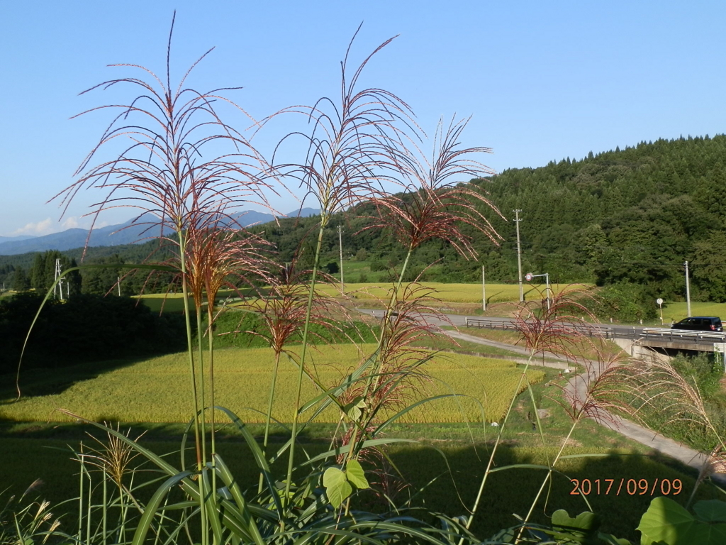 f:id:genkidaba-e882:20170914202241j:plain