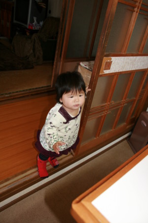 f:id:genkidesuka51:20081216131147j:image