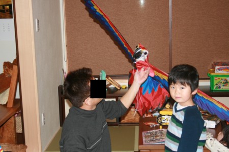 f:id:genkidesuka51:20081221173827j:image