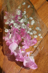 f:id:genkidesuka51:20120404052055j:image f:id:genkidesuka51:20120404052055j:image