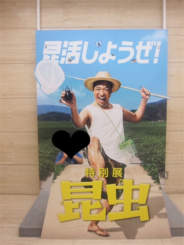 f:id:genko-library:20180923063420j:image