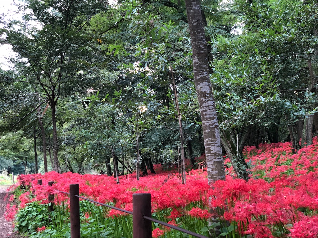 f:id:genko-library:20180925060017j:image