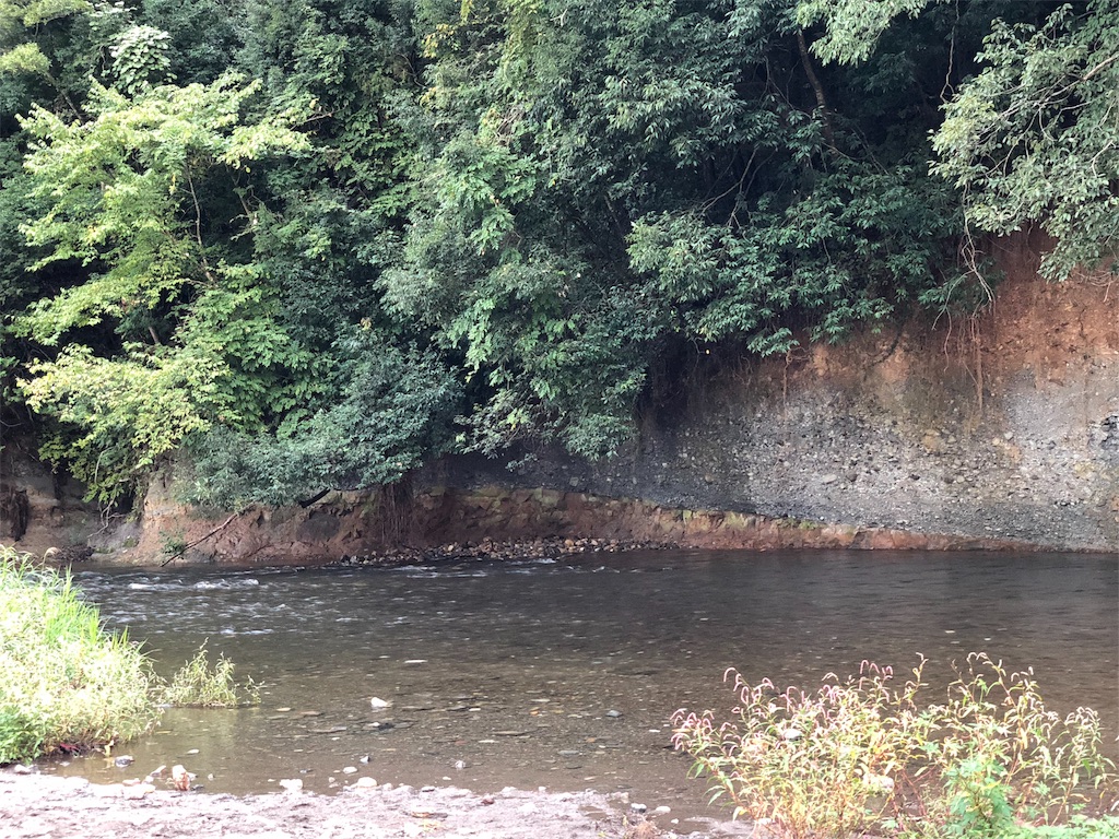 f:id:genko-library:20180925060049j:image