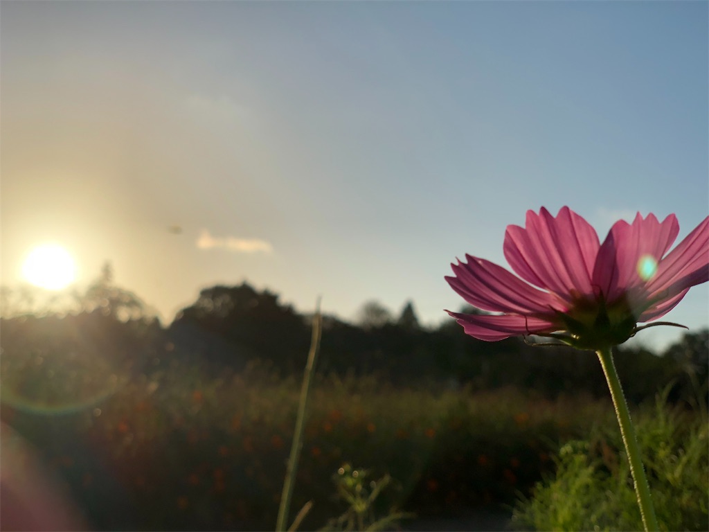 f:id:genko-library:20181007210441j:image