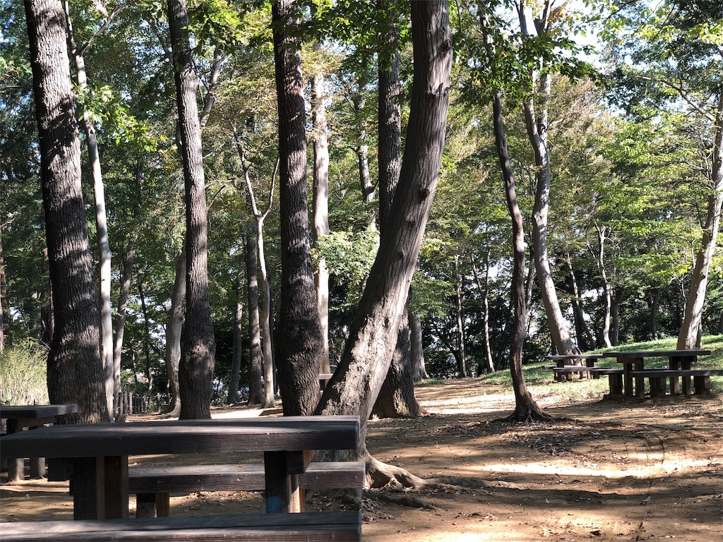 f:id:genko-library:20181104055058j:image
