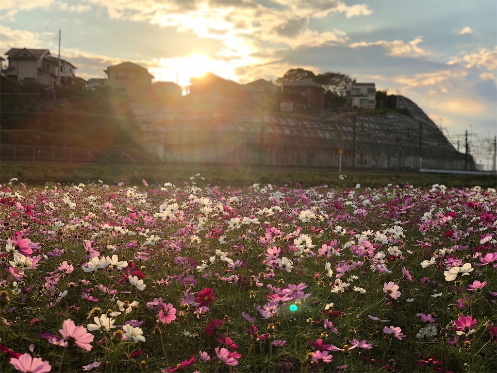 f:id:genko-library:20181104055222j:image