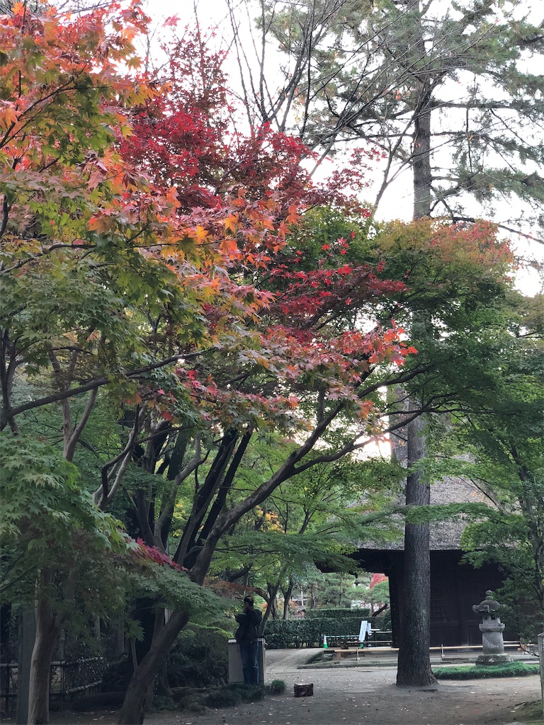 f:id:genko-library:20181118055818j:image