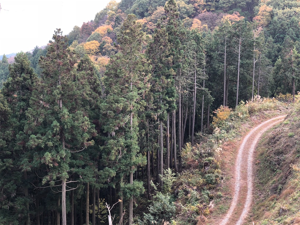 f:id:genko-library:20181119054935j:image