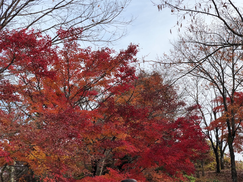 f:id:genko-library:20181119055103j:image