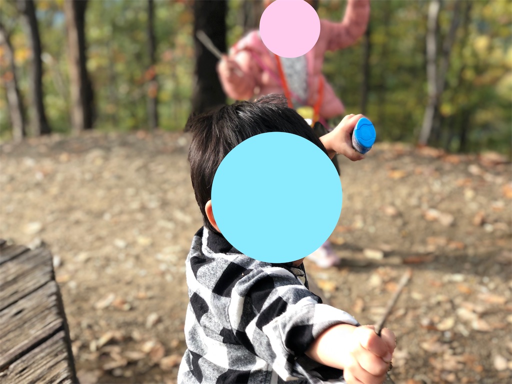 f:id:genko-library:20181119055555j:image