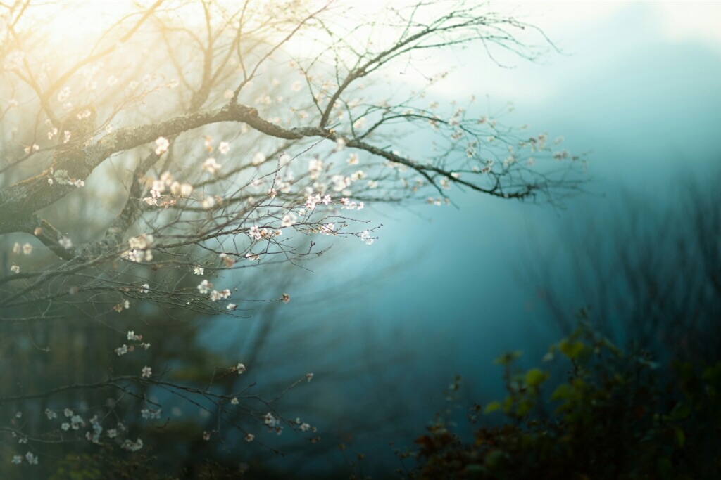 f:id:genko-library:20181120054613j:image