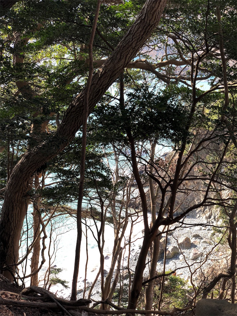 f:id:genko-library:20181224061003j:image