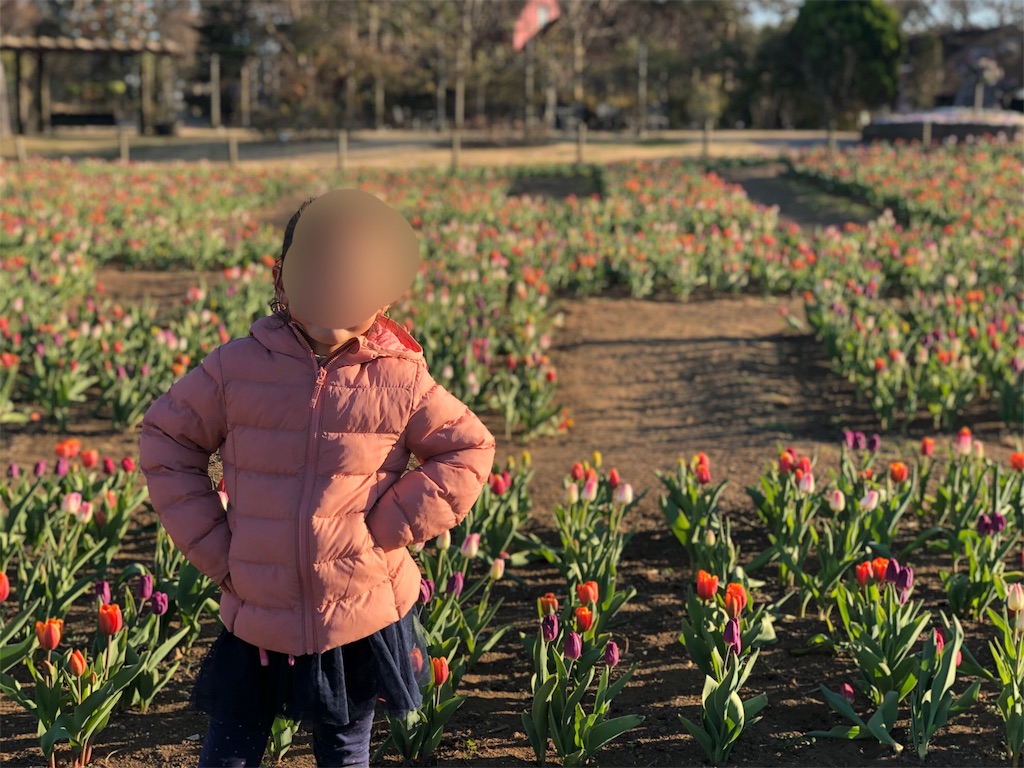 f:id:genko-library:20190104061835j:image