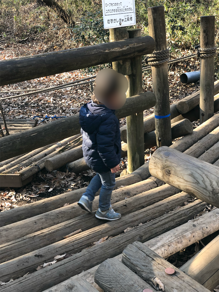 f:id:genko-library:20190104061947p:image