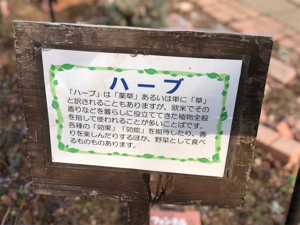 f:id:genko-library:20190212053519j:image