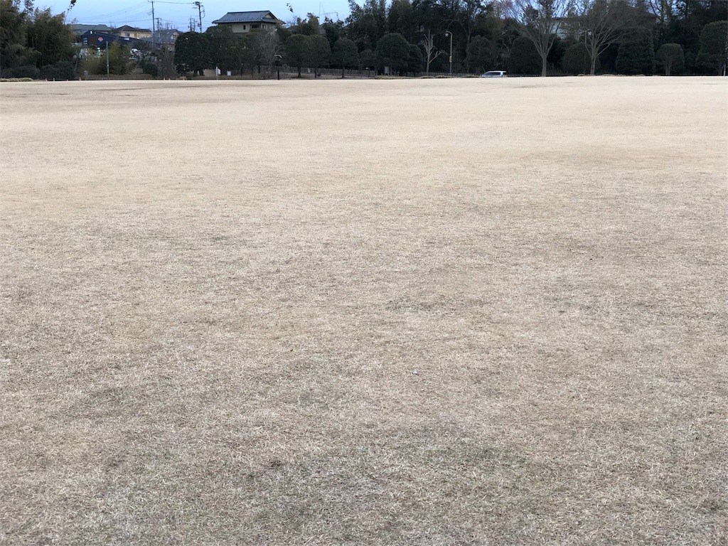 f:id:genko-library:20190217053749j:image