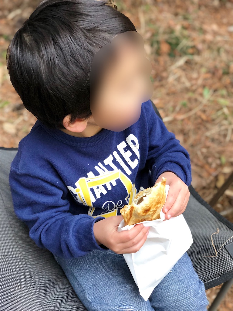 f:id:genko-library:20190217053927j:image