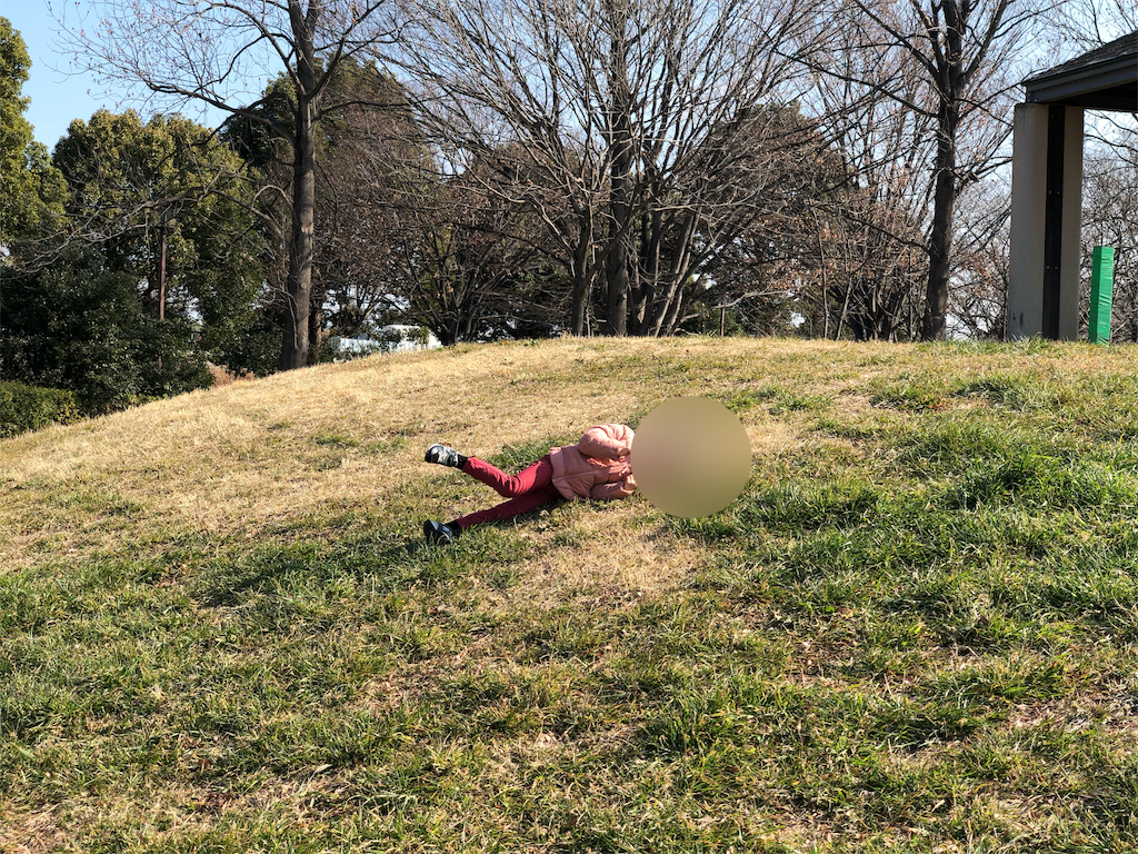 f:id:genko-library:20190303061845p:image