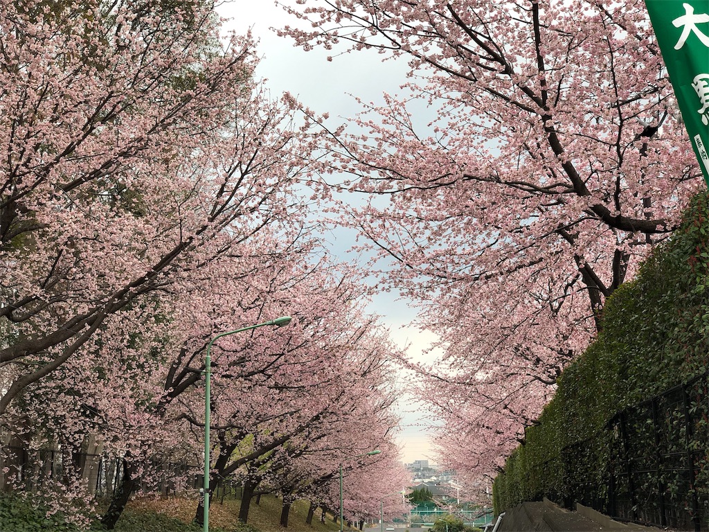 f:id:genko-library:20190318054839j:image
