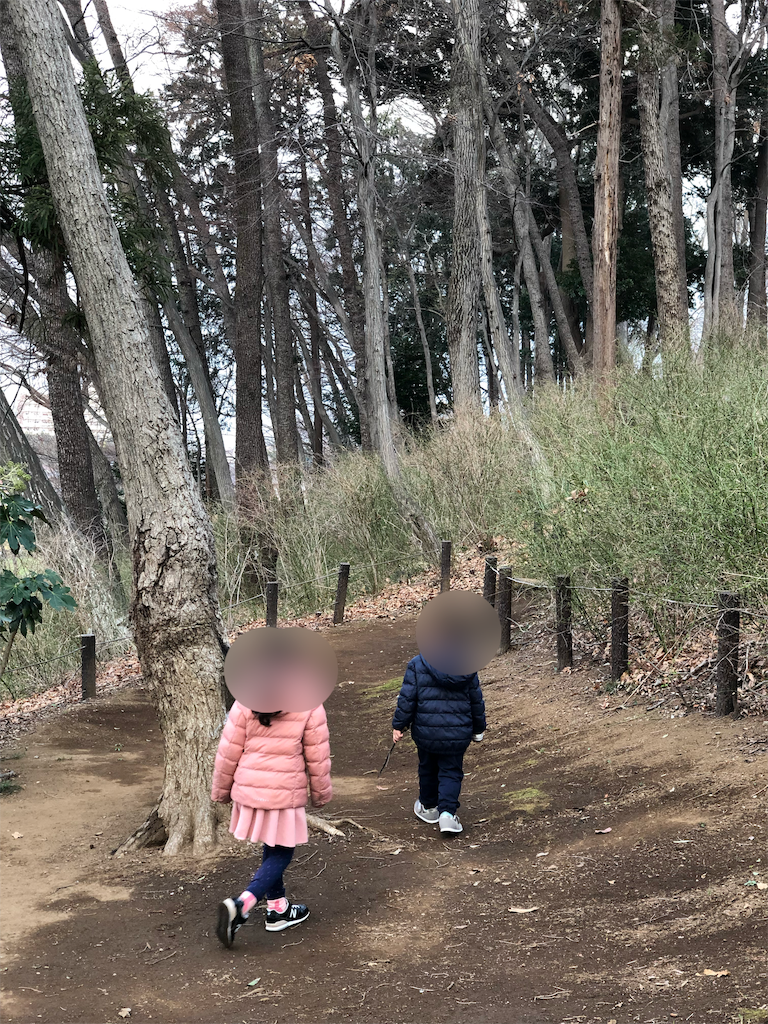 f:id:genko-library:20190318054957p:image