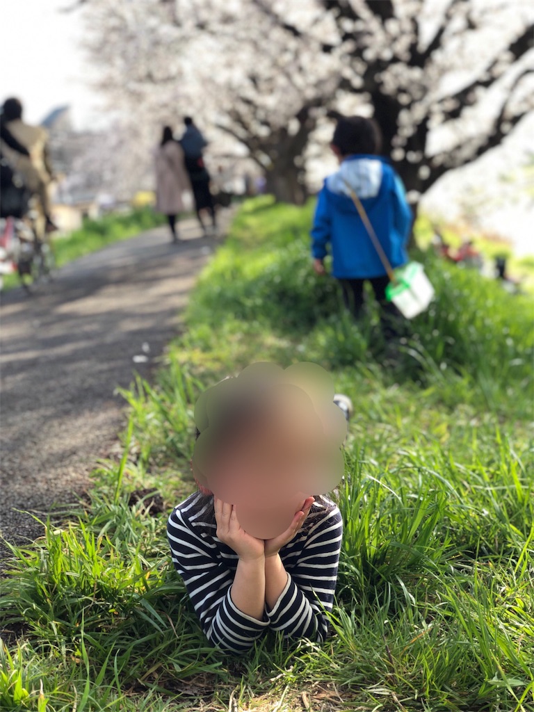 f:id:genko-library:20190404053934j:image