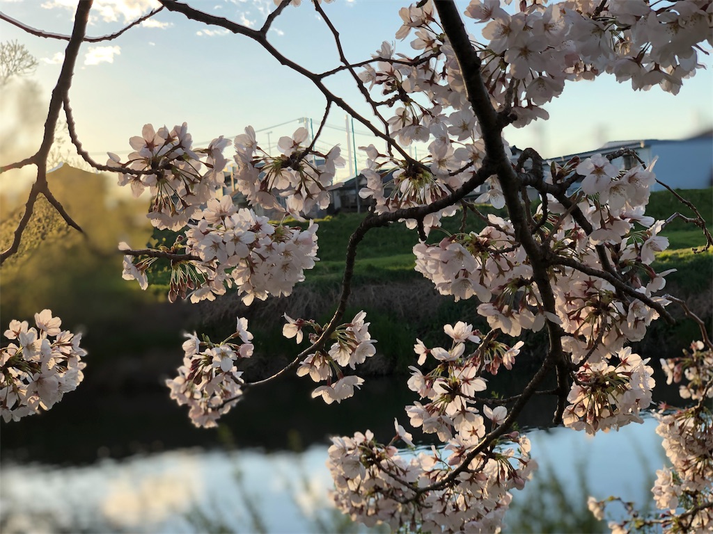f:id:genko-library:20190404054029j:image
