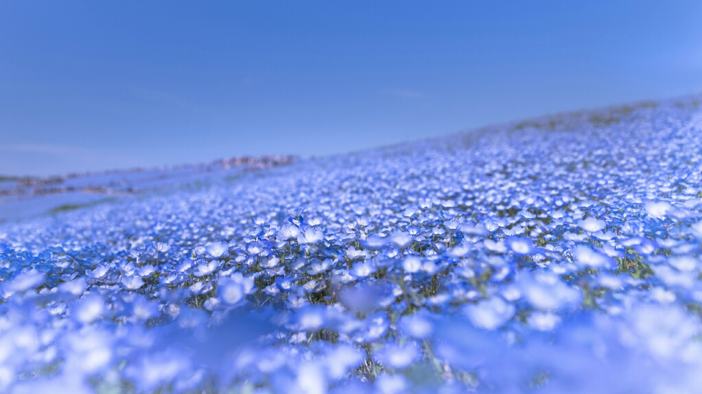 f:id:genko-library:20190414055822j:plain