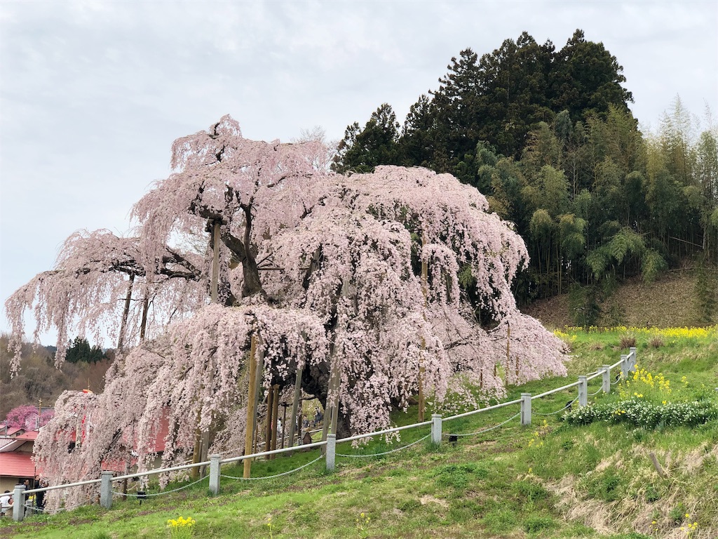 f:id:genko-library:20190422053948j:image