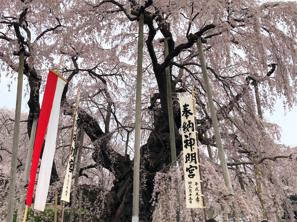 f:id:genko-library:20190422054024j:image