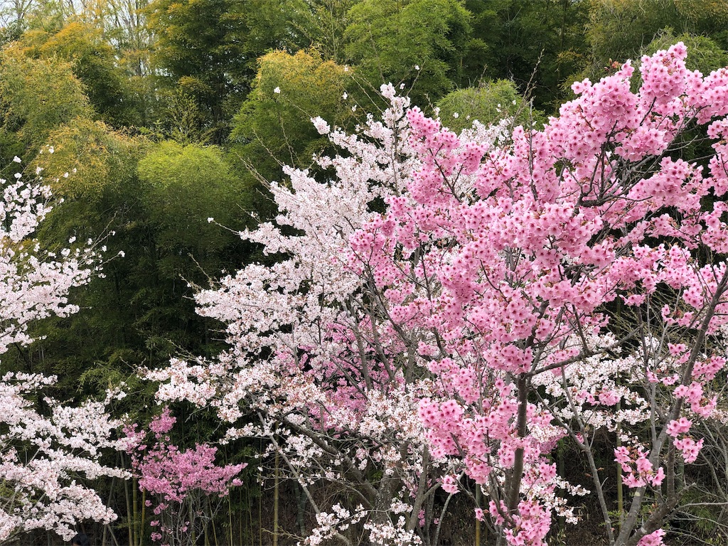 f:id:genko-library:20190422054136j:image