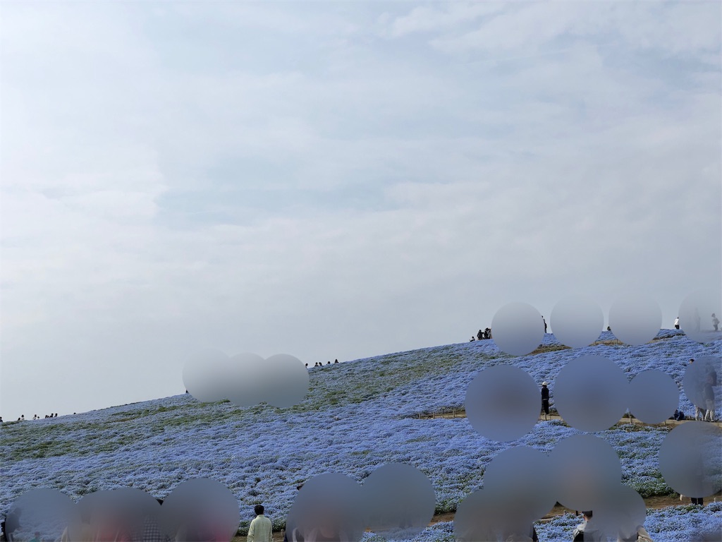 f:id:genko-library:20190424053312j:image
